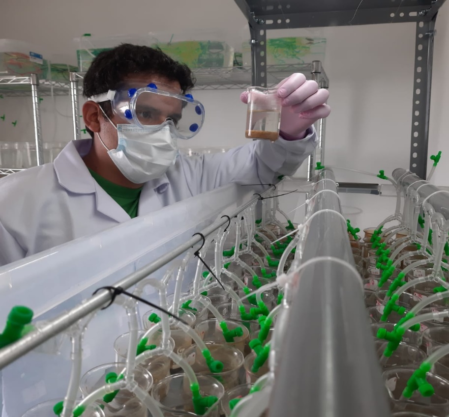 Laboratorio de Ecotoxicología