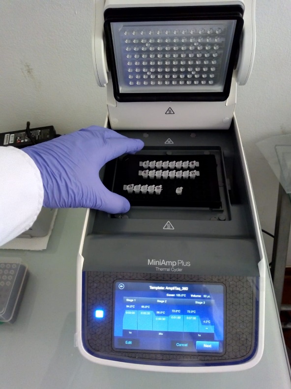 Laboratorio de Biología Molecular